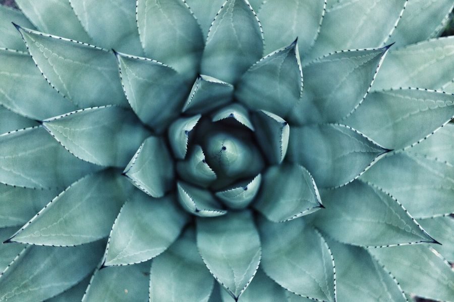 3 COSE CHE TI IMPEDISCONO DI VIVERE NELL’ABBONDANZA