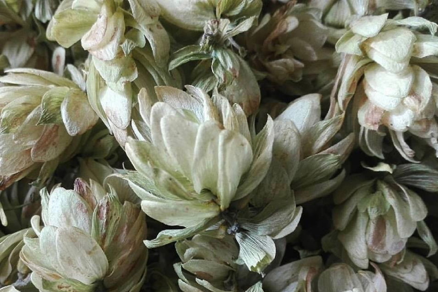 L’HYGGE E L’ABBONDANZA